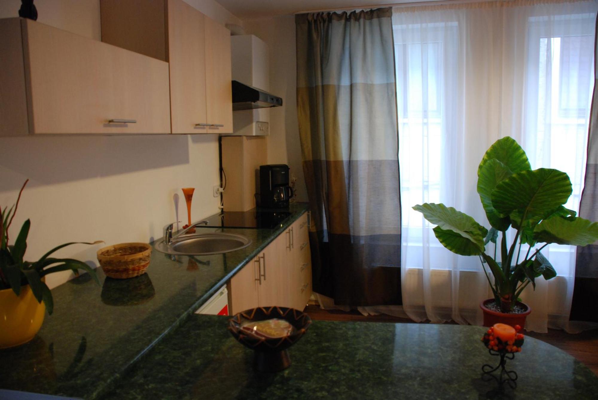 Lucas 10 Apartments Kluż-Napoka Zewnętrze zdjęcie